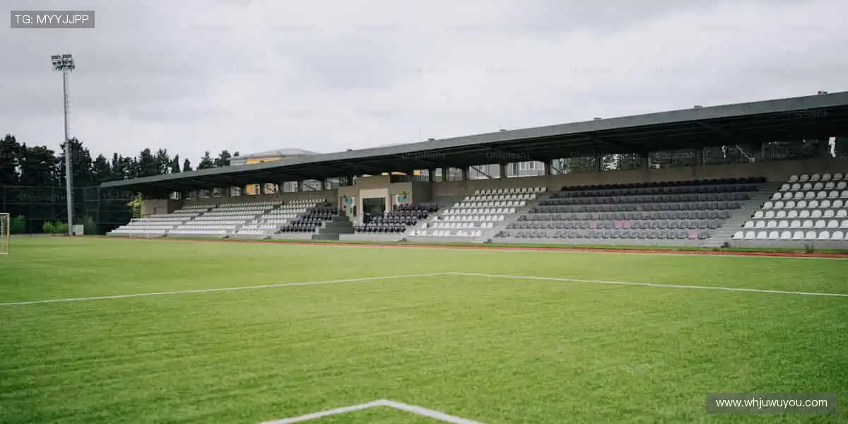 🏆点燃热血,每一秒都是冠军时刻!