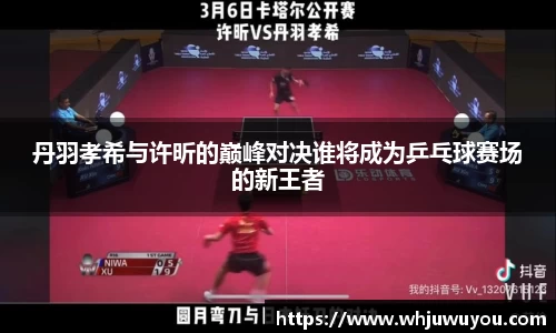 丹羽孝希与许昕的巅峰对决谁将成为乒乓球赛场的新王者